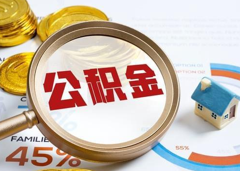 随州2025年政策调整对个人影响综合解析